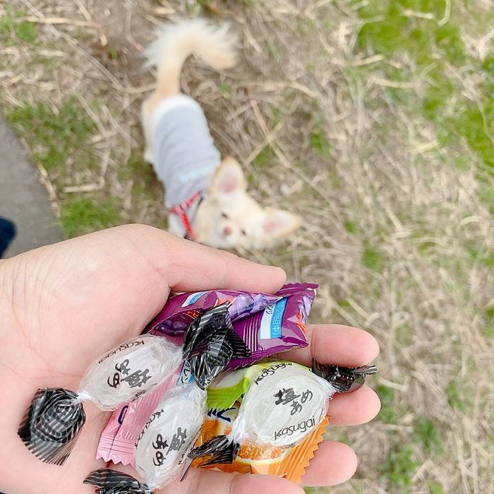 B674991b 822c 434e a877 10585e4cda81 1615522557340