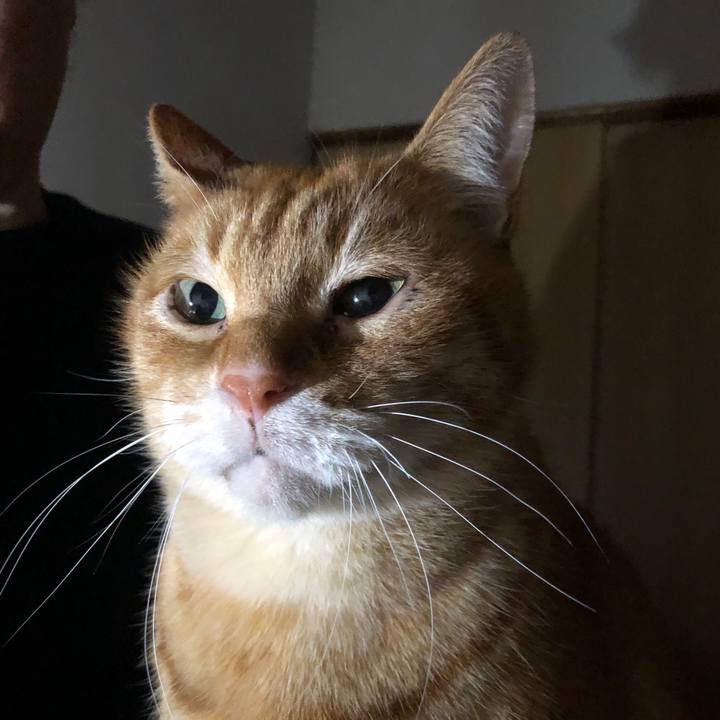 B674b79d c960 4103 9f50 0aae5ae236ec 1735908325303