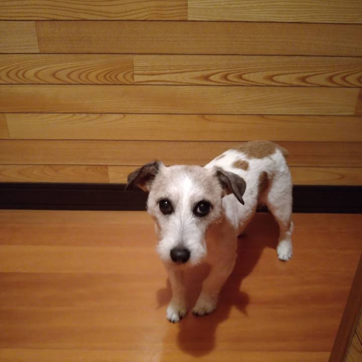 B67537c2 cdc7 45e5 a766 b54da19a6078 1620132575039