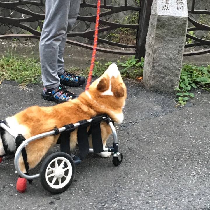 B6753df3 5332 44e1 ad04 2fe50bee7c8a 1535969978781