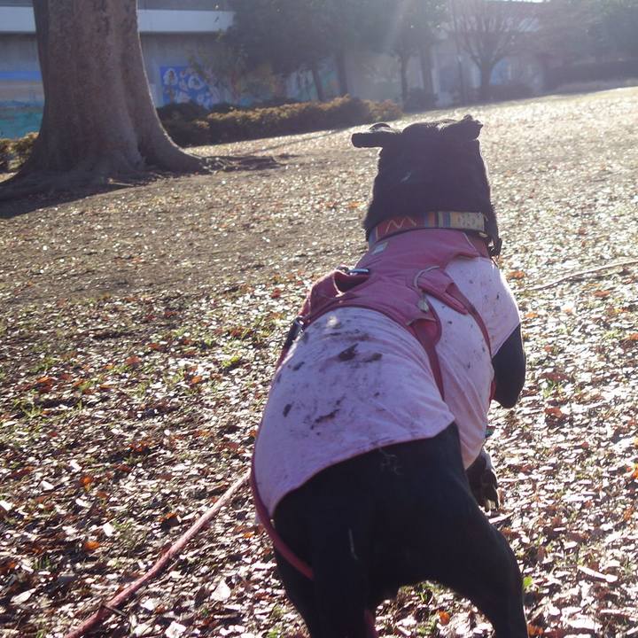 B67562dd 6e99 42dc b691 97c6b2254ffa 1703122825432