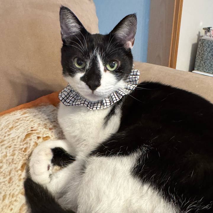 B675beb8 2be0 4dde ae1f fdf240c7faf5 1771822409925