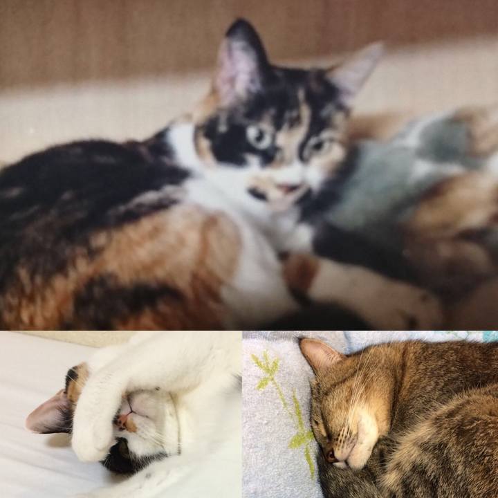 B675ec2e e581 4863 836d f7e96d243994 1540806783193