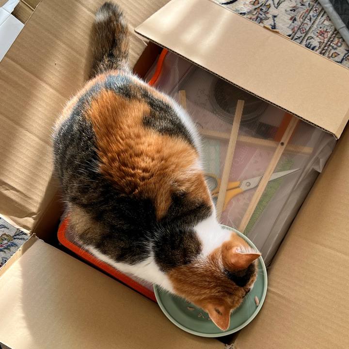 B675f81e 9f5d 41fa bb51 bd1c7873349e 1763940533650