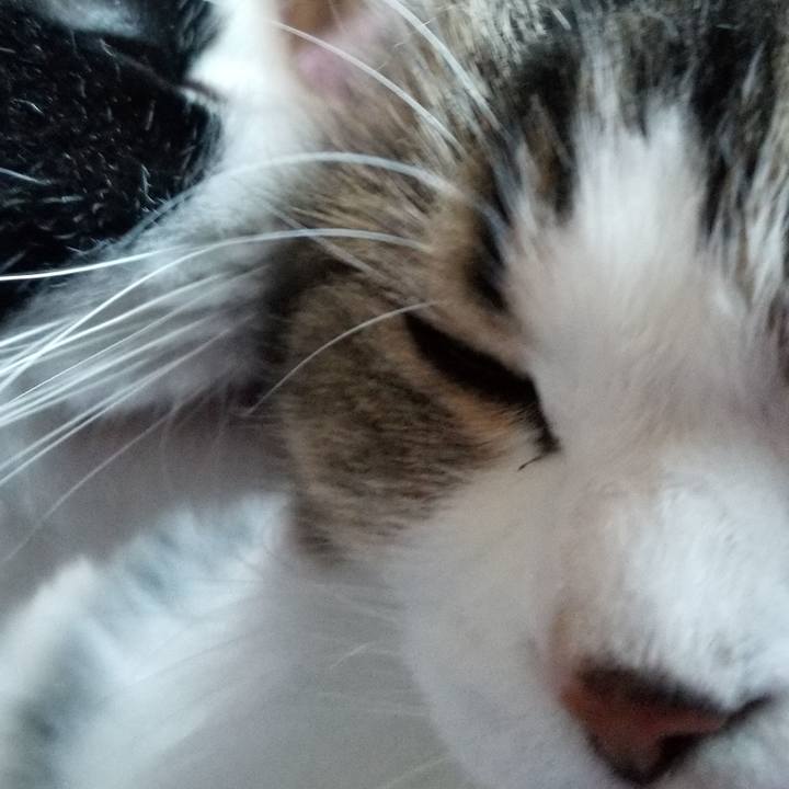 B67608e4 4005 4f8c 94e8 ec440ee58a0d 1570399408563