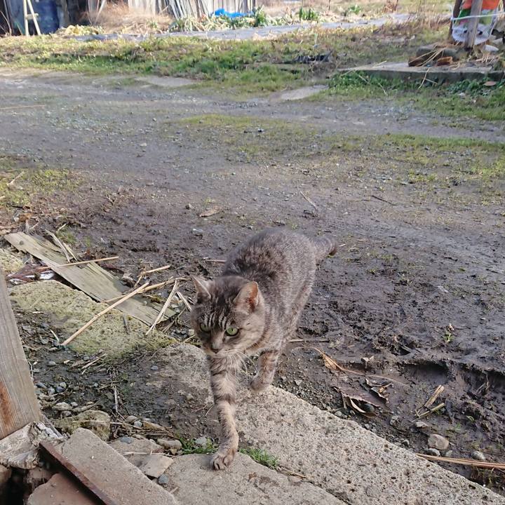 B6762286 ca26 4cd6 bf6d 59c253ac062f 1579936554510