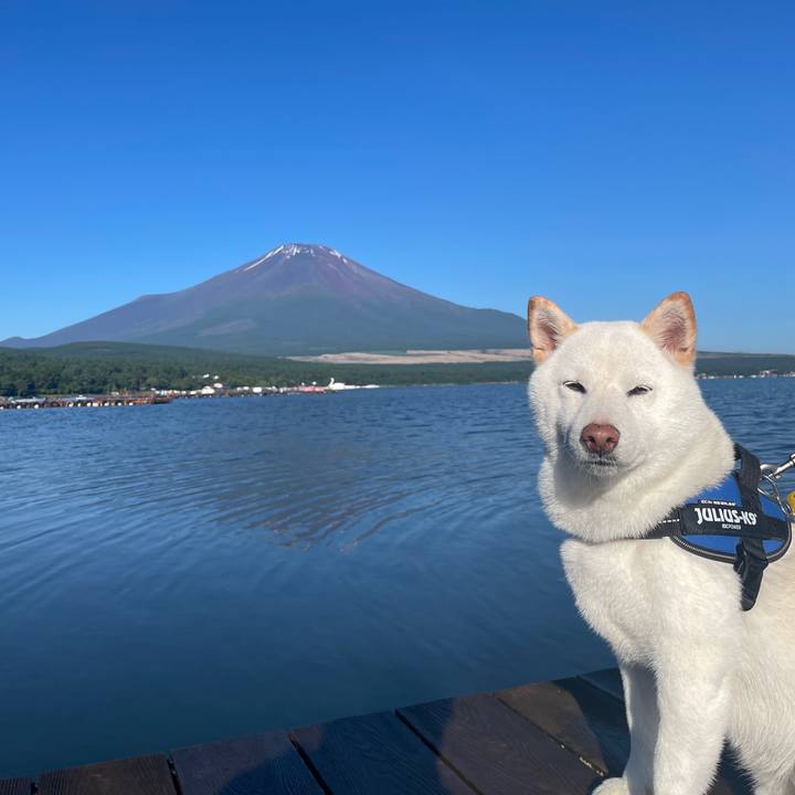 B6762b60 2aa7 4daa ad4c b282ed08a9a3 1686956557822