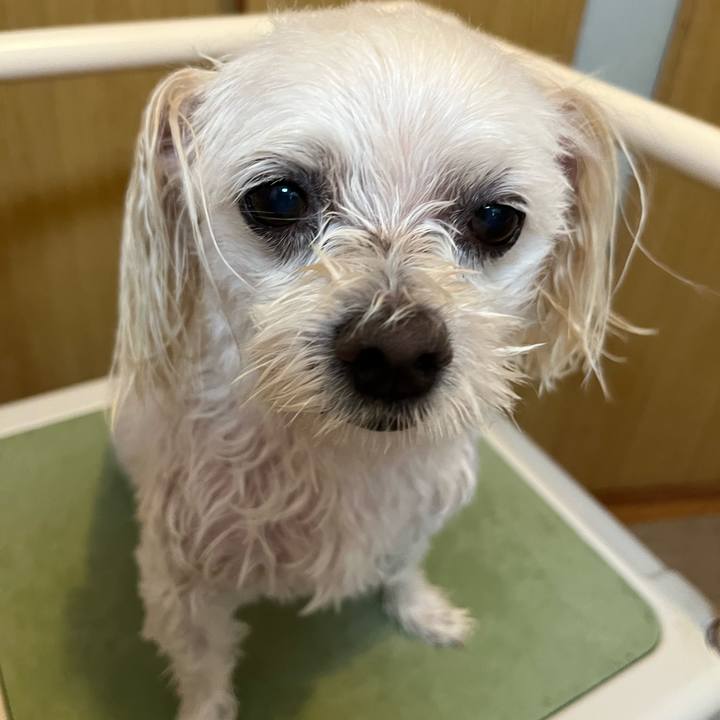 B676610e eccb 4b76 bde3 1d6c65b0467b 1692335521700