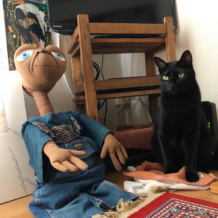 B6766d85 1c20 4c87 8f3c 9b0d75823c5f 1544313161291