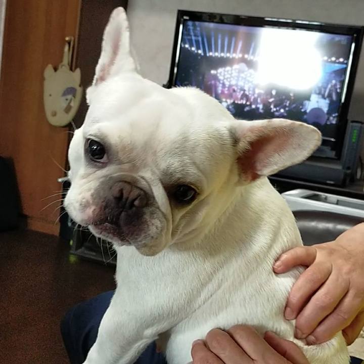 B6769afb 94c0 4995 9952 f14894e6c806 1658916562666