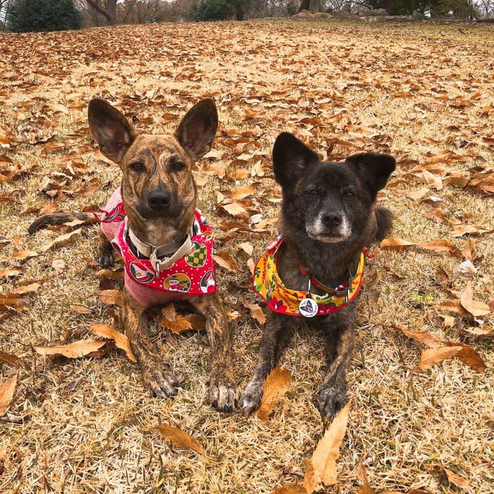 B676a762 1299 4a9a be6e 56ab481a3943 1577177522613