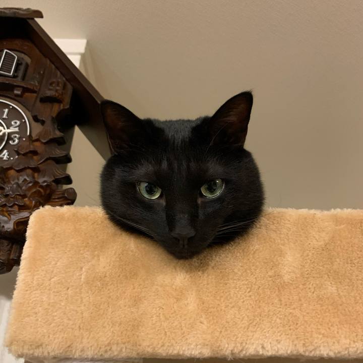 B676ba6b 7256 4d7c 9cfd cd34b329c367 1590074050096