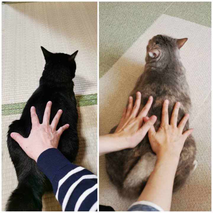 B676c1a6 716d 4a52 96fe c97d02413b61 1665723236267