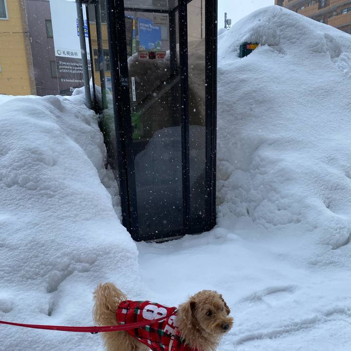 B676f6ee 157b 40d1 b14f dfe08de152e5 1646348607795