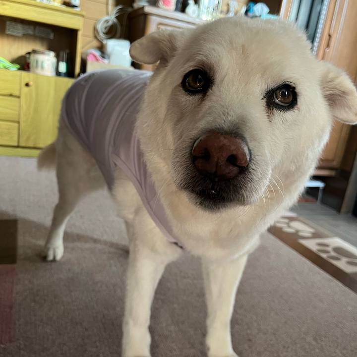 B6771909 0d2e 46c8 bcf7 391a4f606f3d 1765068335449