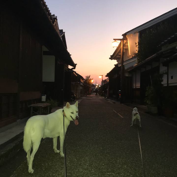 B677644c 7e8b 43b5 b102 ab4bb9ba0494 1531568384770