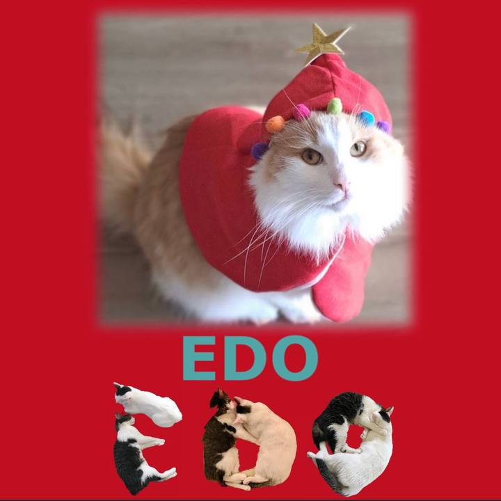 B677aa17 ce64 4f0b 8809 d28b9765a19d 1667479395973