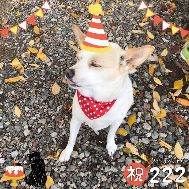 B677c8ff 7ae3 48dc 92ed c05b7af5c188 1645500682067