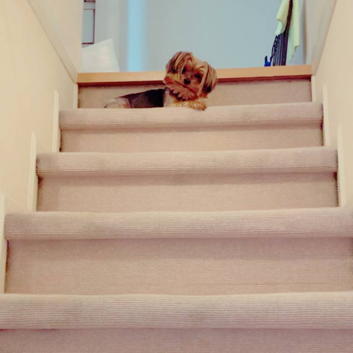 B677db5f b6fb 4b2e 8c0d 529dbe5ad01c 1599085592425