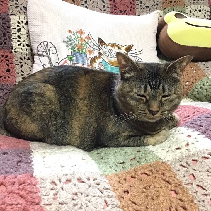 B6782e00 325c 46be 8c05 cb89f27fc6fc 1720787503583