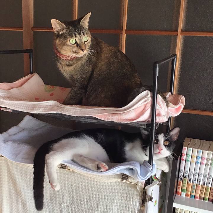 B6783b5b f551 4d08 aca6 c93f6ee389d7 1632734534104