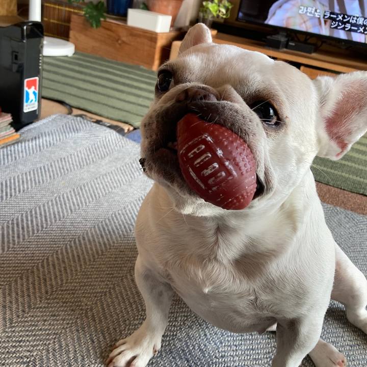 B6784da5 37e6 4d42 8871 029f4b6573f1 1725353808786