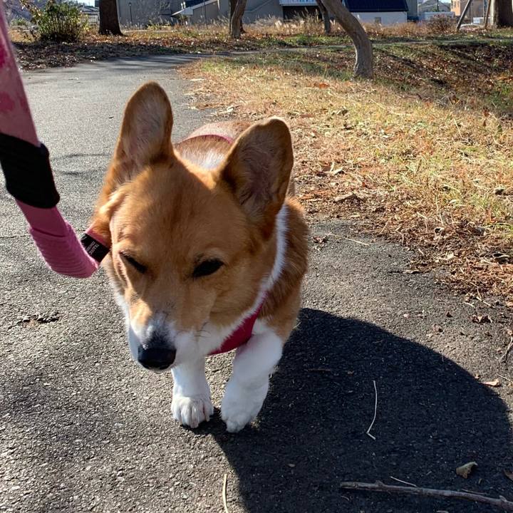 B6789fb1 58c6 4b14 83ae 35769fce1a7a 1702435502554