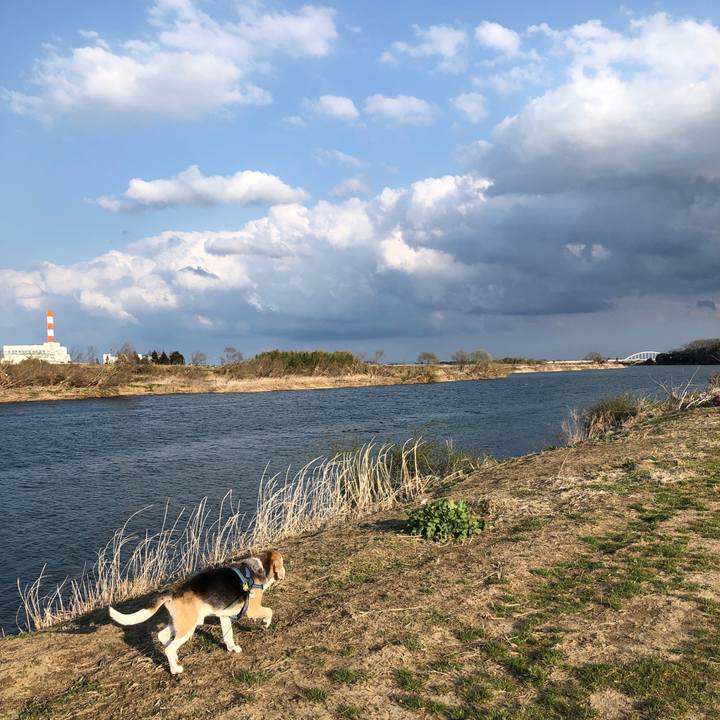 B678a051 a969 4005 a2df c9f501fb3437 1584880037830