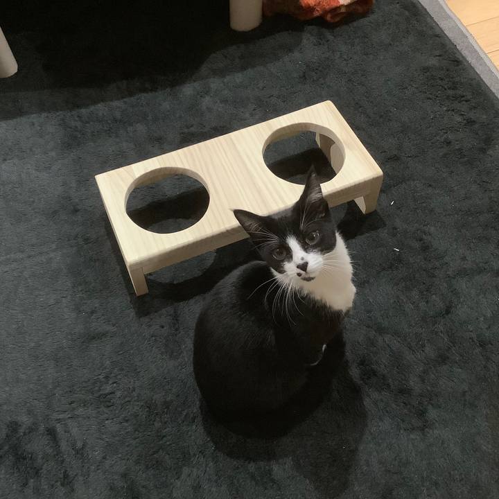 B678a969 424f 43bf ab06 2fe7870f32e2 1575814455580