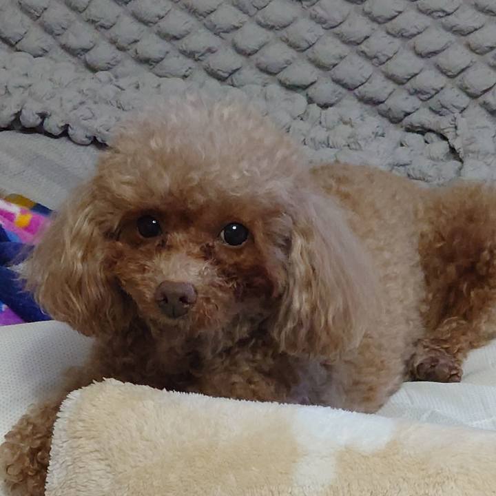 B678d4de 62a4 4f57 942b e10677923727 1746572874073