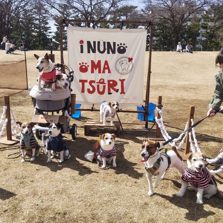 B678f85e 9a8f 4d19 8991 05d9f063a81a 1772288444291