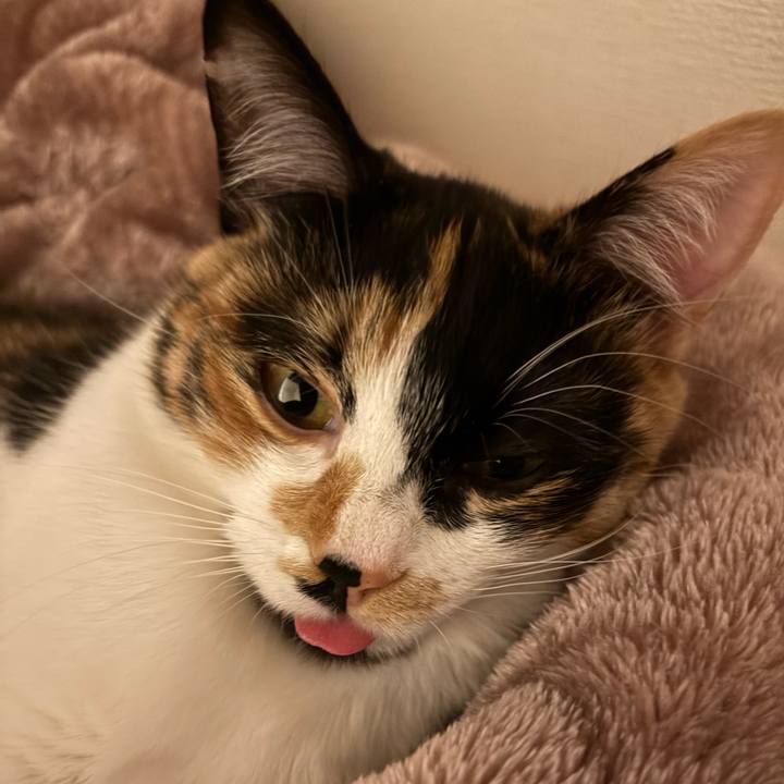 B67911fc 0988 41c8 b396 f6365ad979e9 1769510135096