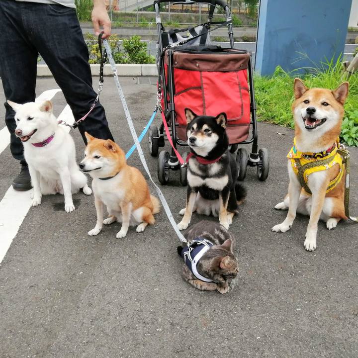 B6791e68 73ea 4dd5 a74a f2752a0d3b5a 1601190804323