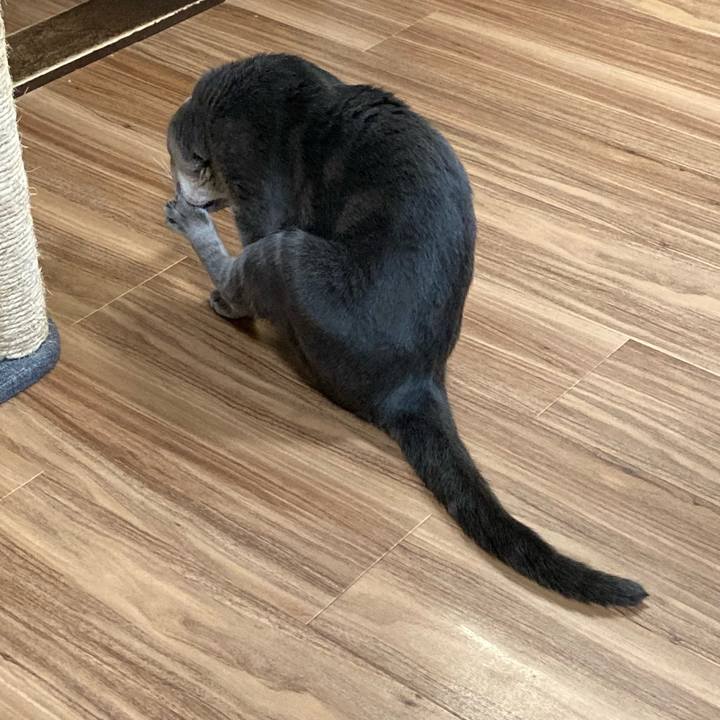 B679403d cd3c 4e78 ac04 733da60cde91 1628770507093