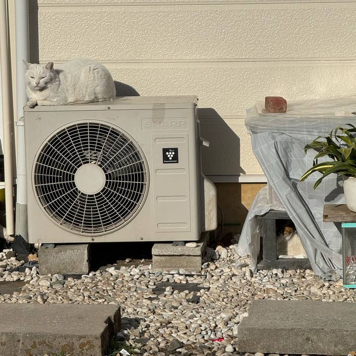 B679548c aedf 43f0 8de7 f3bc0fe0d11a 1769480881354