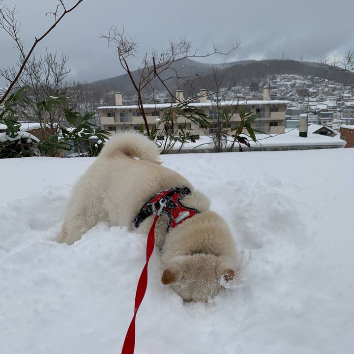 B6795714 f865 4e15 9814 6f569eb8eb8b 1609636406303