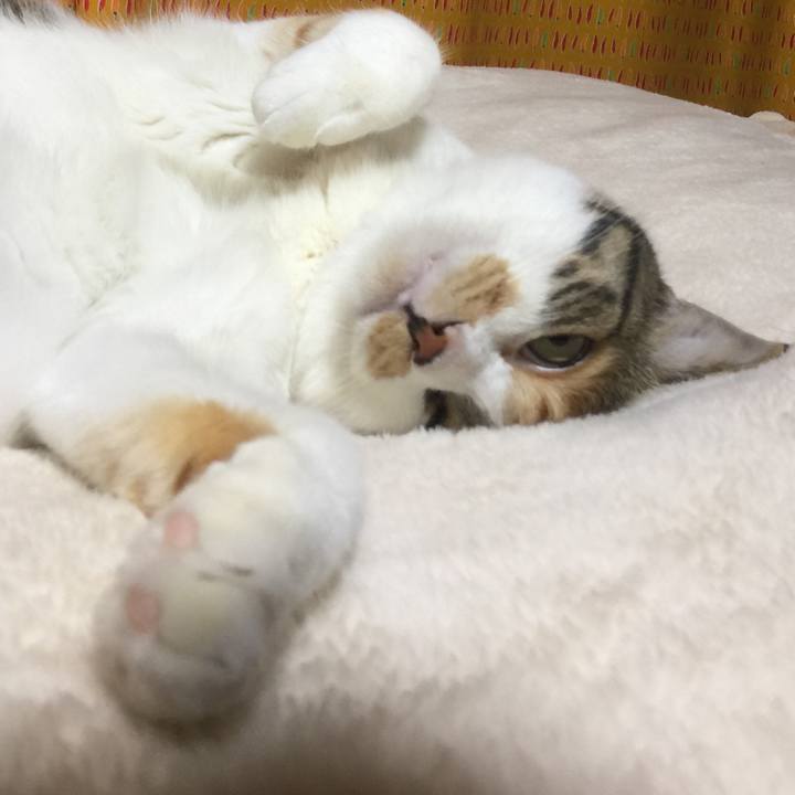 B67985ba b54c 46f0 bac5 e32ef036d4ba 1666095377313