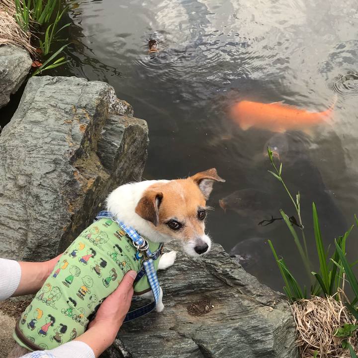 B679b1eb f241 40a0 a0a2 b89fa64ac2cc 1556958230285