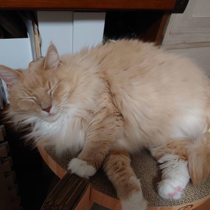 B679b311 b0b4 4428 ae78 43f889ba956c 1654612339210