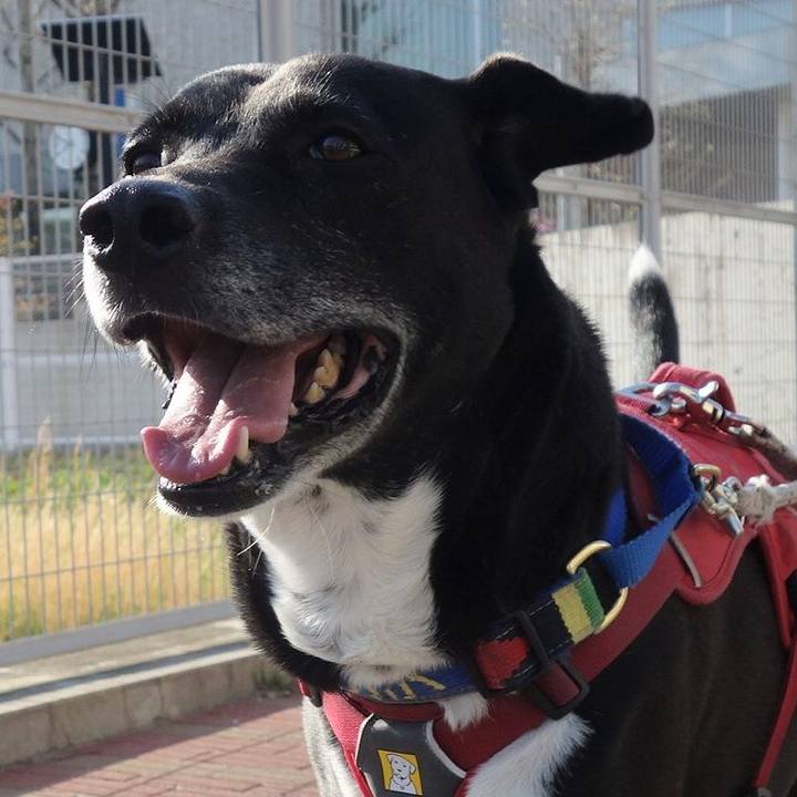 B679b5a9 92fa 40b4 8aef 917ecc1d42e1 1680570367924