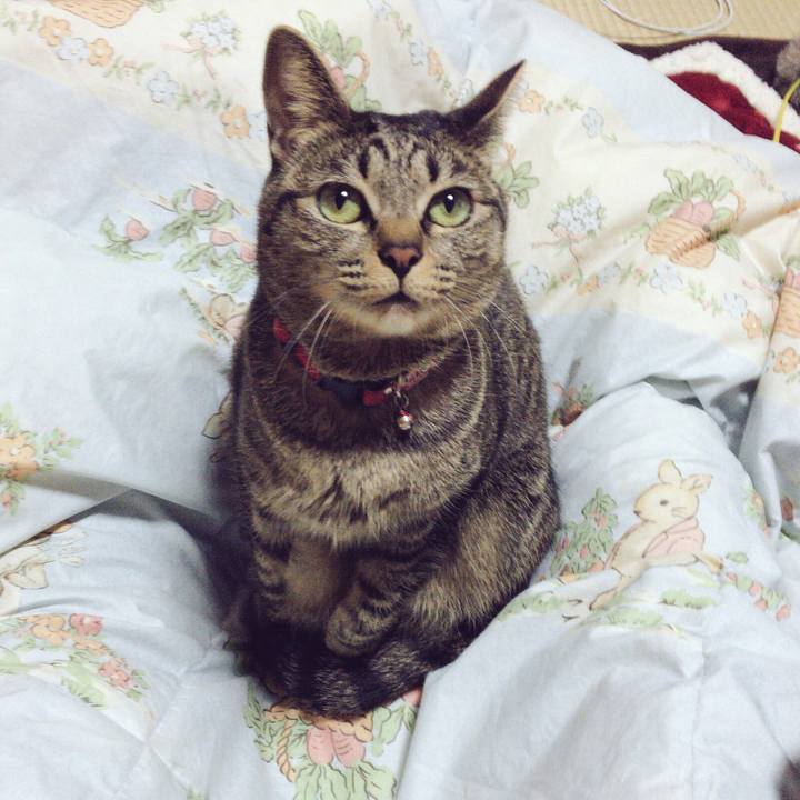 B679b7e4 8153 4e27 aa81 ad292384ddaf 1513162144577