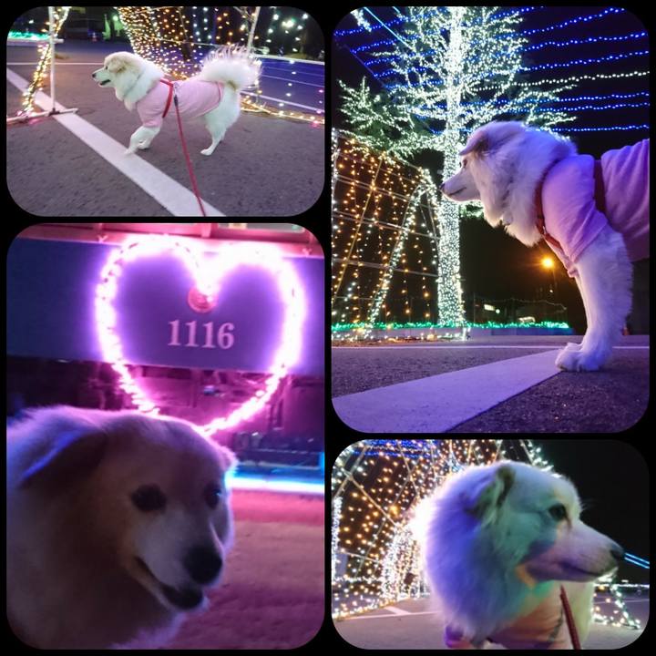 B679d0ab bef4 43ae 91f0 69bd023044d5 1514201032841