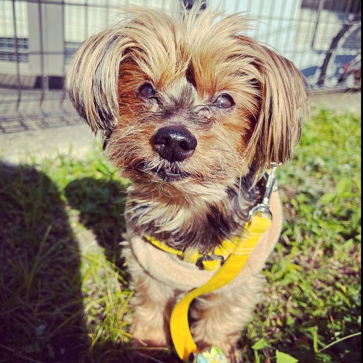 B679fa33 71ce 497a b755 f7abf6085f64 1668298162121