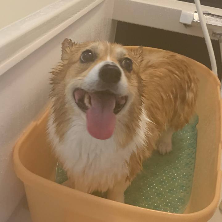 B679ff29 7d18 40d7 9414 88d6c4714114 1715926480262