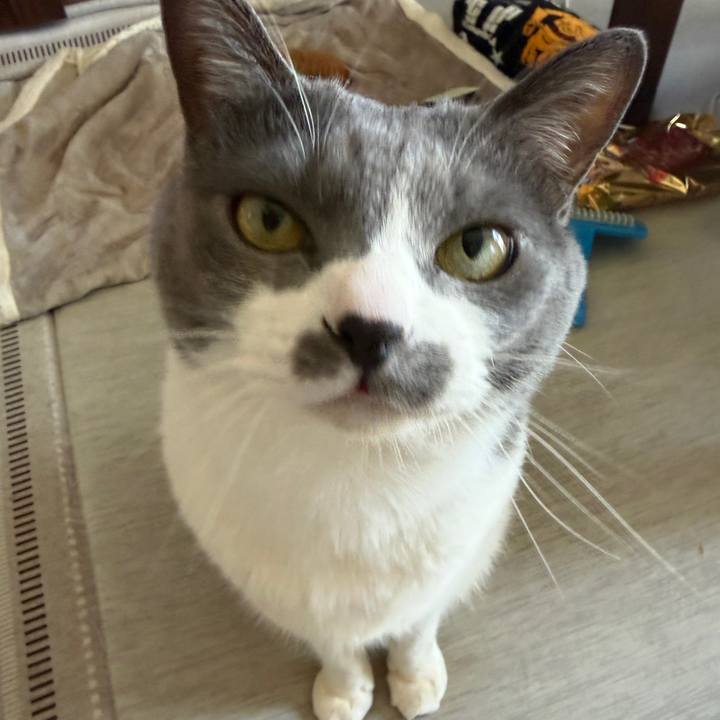 B67a2908 d6d4 44e5 98d8 f50228dfd96a 1773549054295