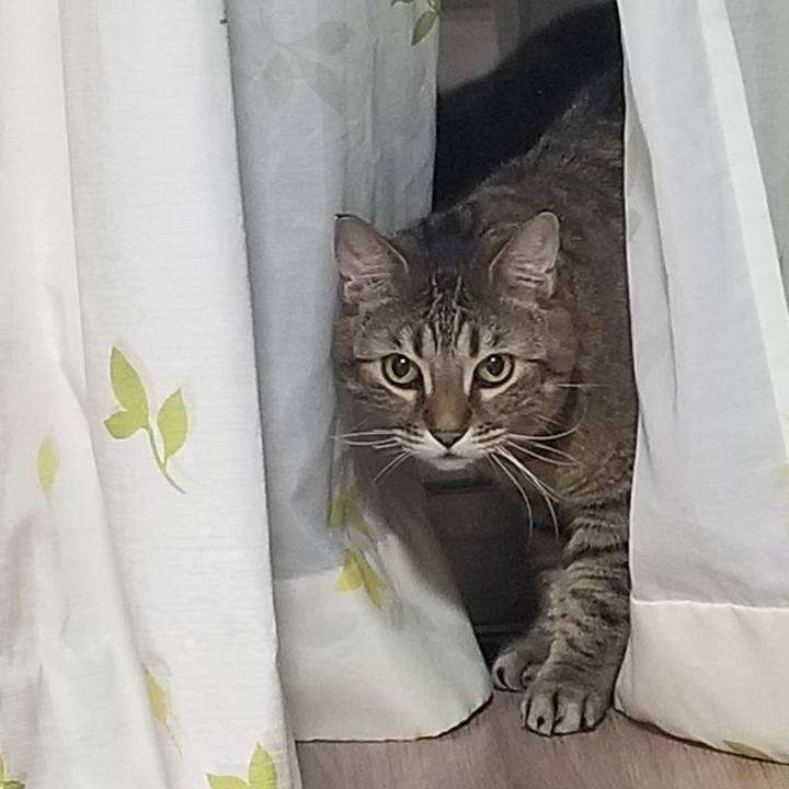 B67a34f2 12c5 4dcf b827 6c5bfeec07cf 1553605128416