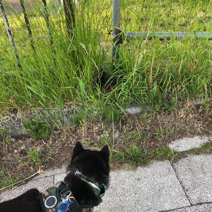 B67a444b fb58 4a81 a308 12b87c45d340 1559469905890