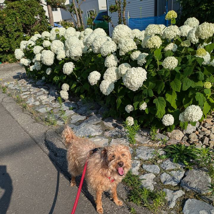 B67aa735 48d3 4279 9bfc b587fd4d0c2f 1720564690702