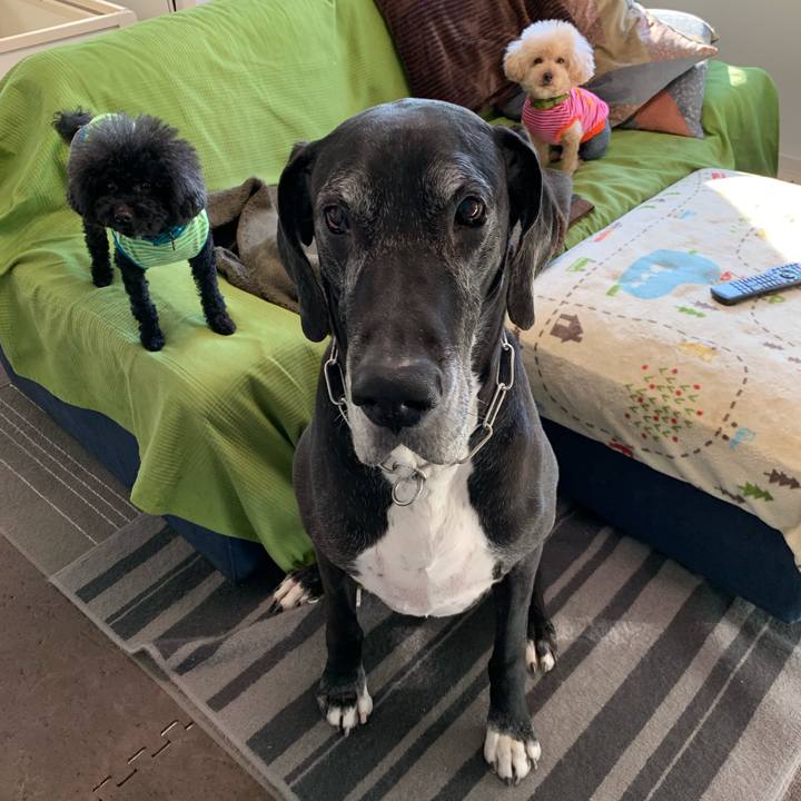 B67ac11c dae8 4d51 a150 b1844a3e7353 1554244918474