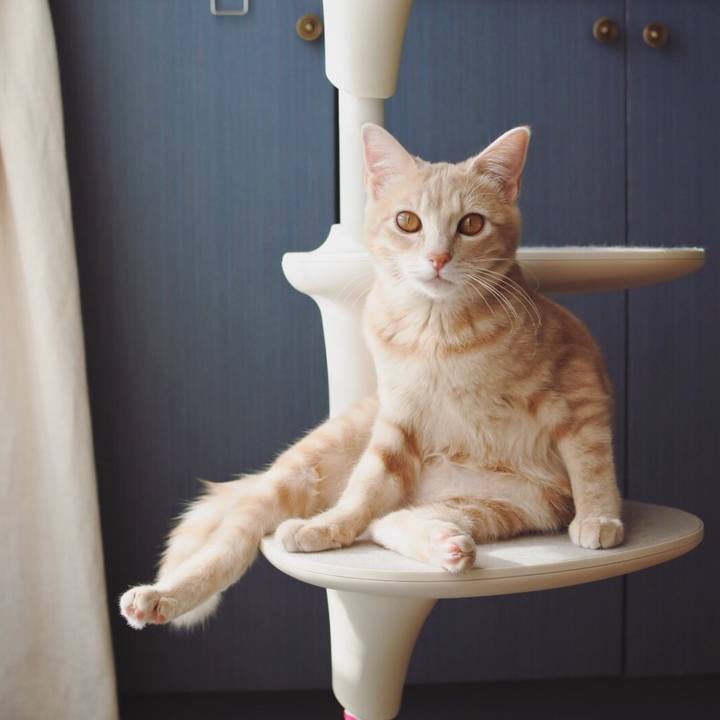 B67ac66a 8b68 4378 811f 492865379502 1553602526448